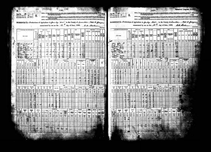 1880 U.S. Census Schedule 2 - Production of Agriculture.